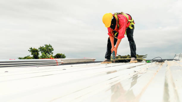 Skylights in Cedar Grove, FL